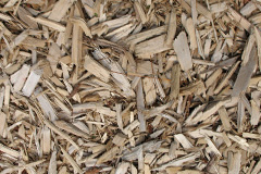 biomass boilers Little Longstone